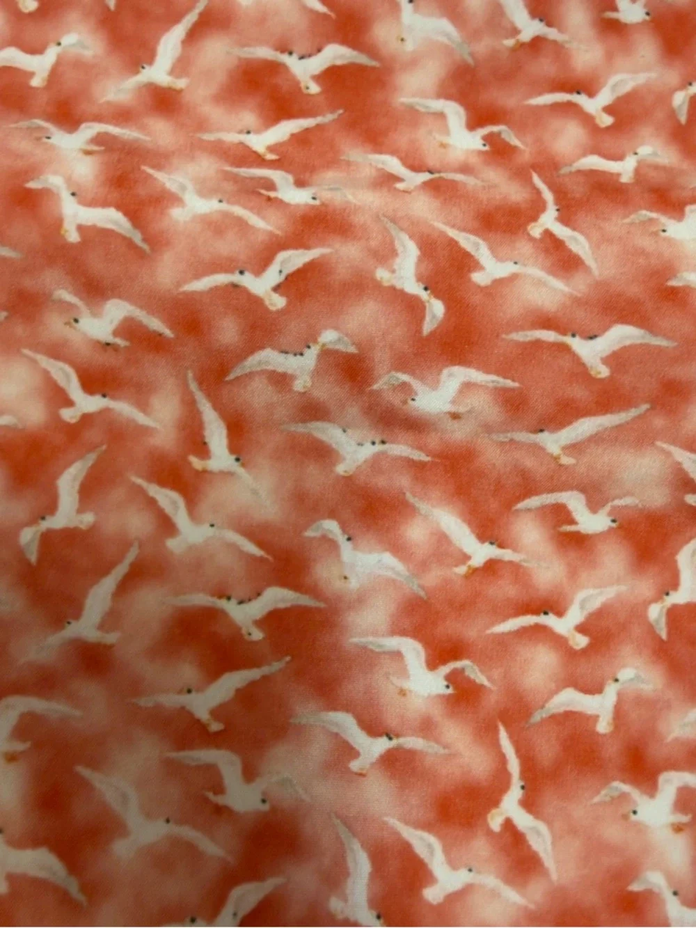 Cremieux Swim Trunks Orange Seagull Print‎ Men’s Size XL